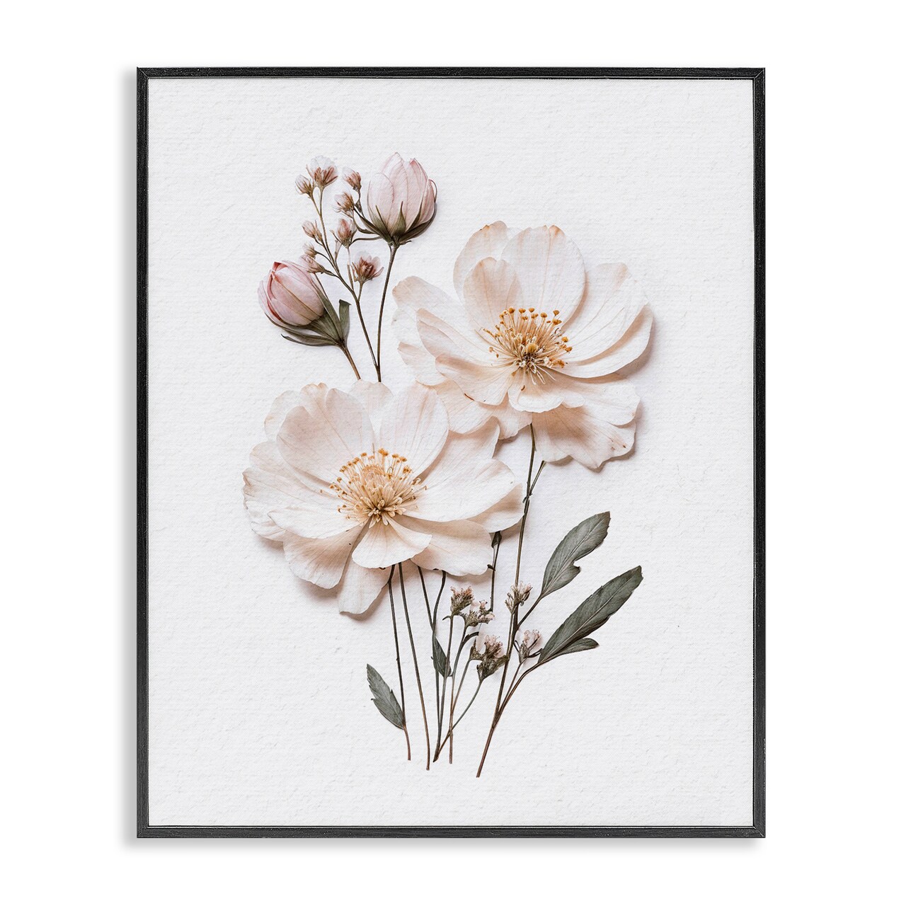 Stupell Industries Elegant Pressed Flowers Framed Giclee, design by Lettered and Lined